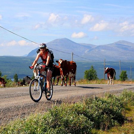 Furulund Pensjonat Ron Kültér fotó