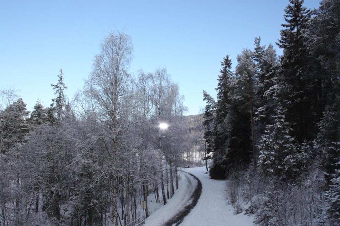 Furulund Pensjonat Ron Kültér fotó